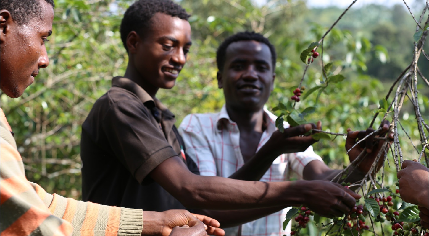 ‘Brewing a Sustainable Future