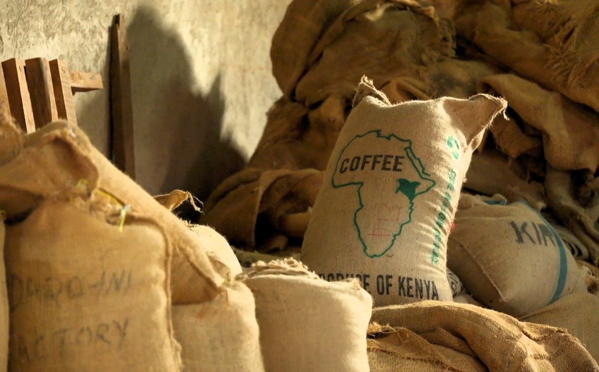 Sacks of Kenya Coffee Beans