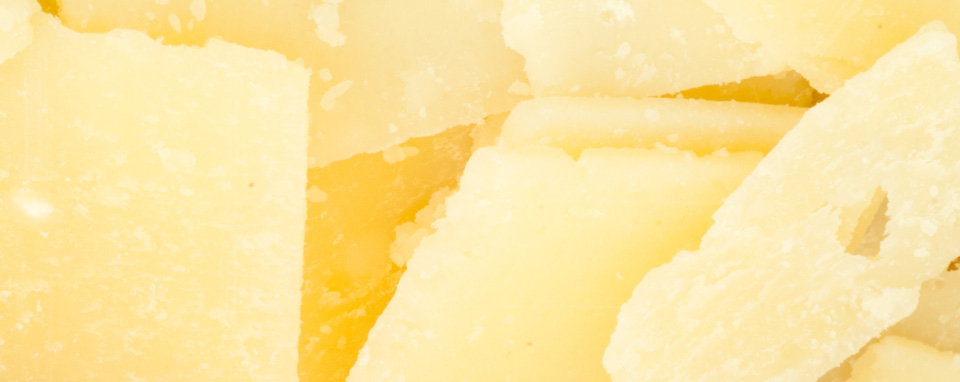cheese banner