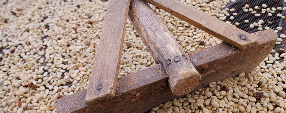 south sudan coffee banner