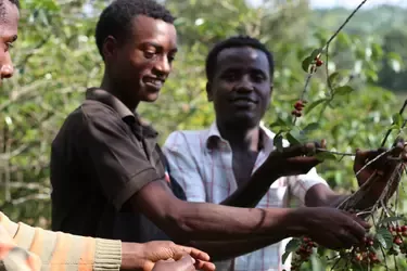 ‘Brewing a Sustainable Future