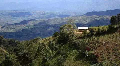 landscape with fields, woodland and mountains in distance