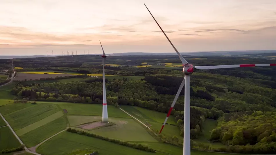 Renewable Energy Transition in South Africa Implications for the Food and Beverage Industry