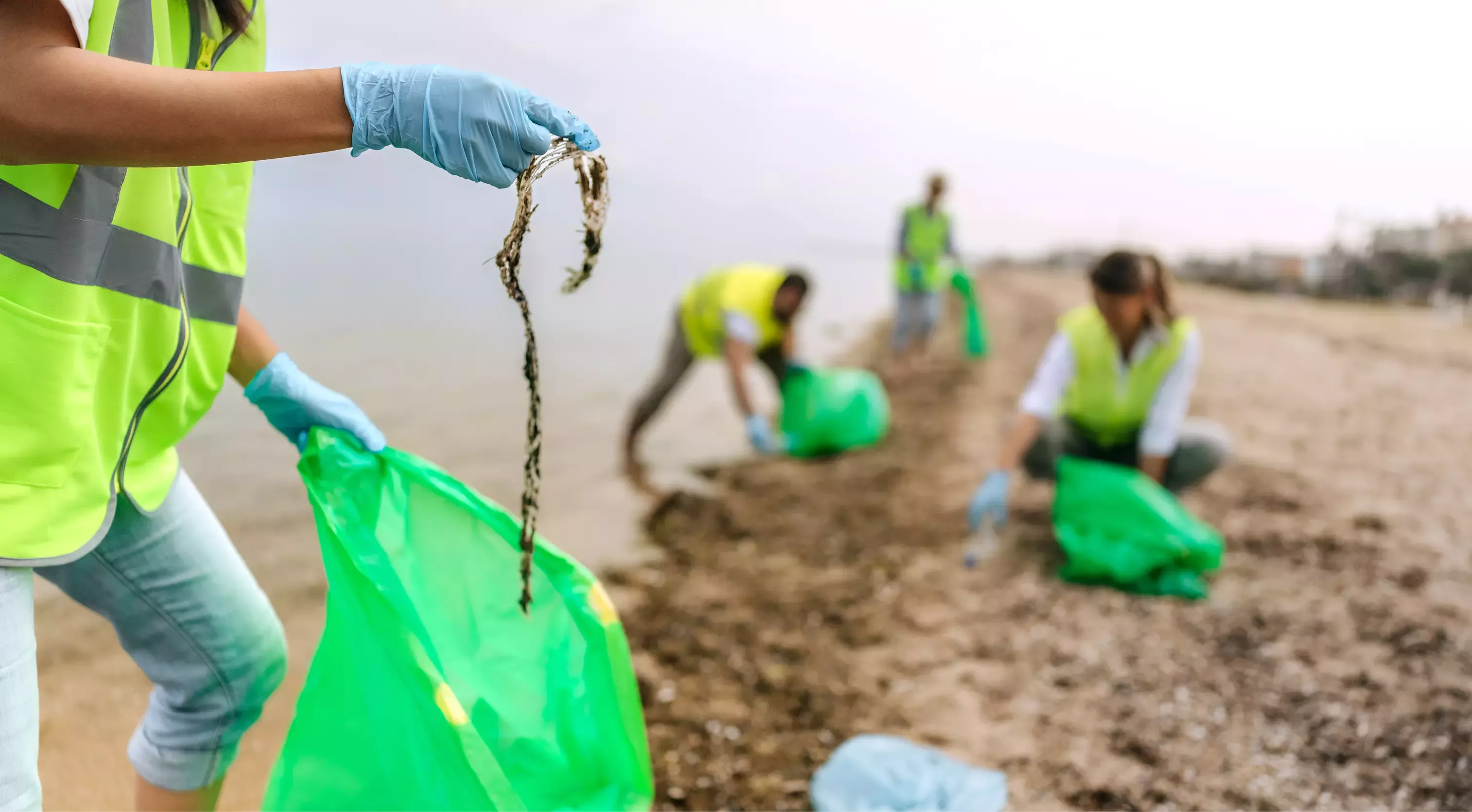 Sustainability blog about cleaning the environment