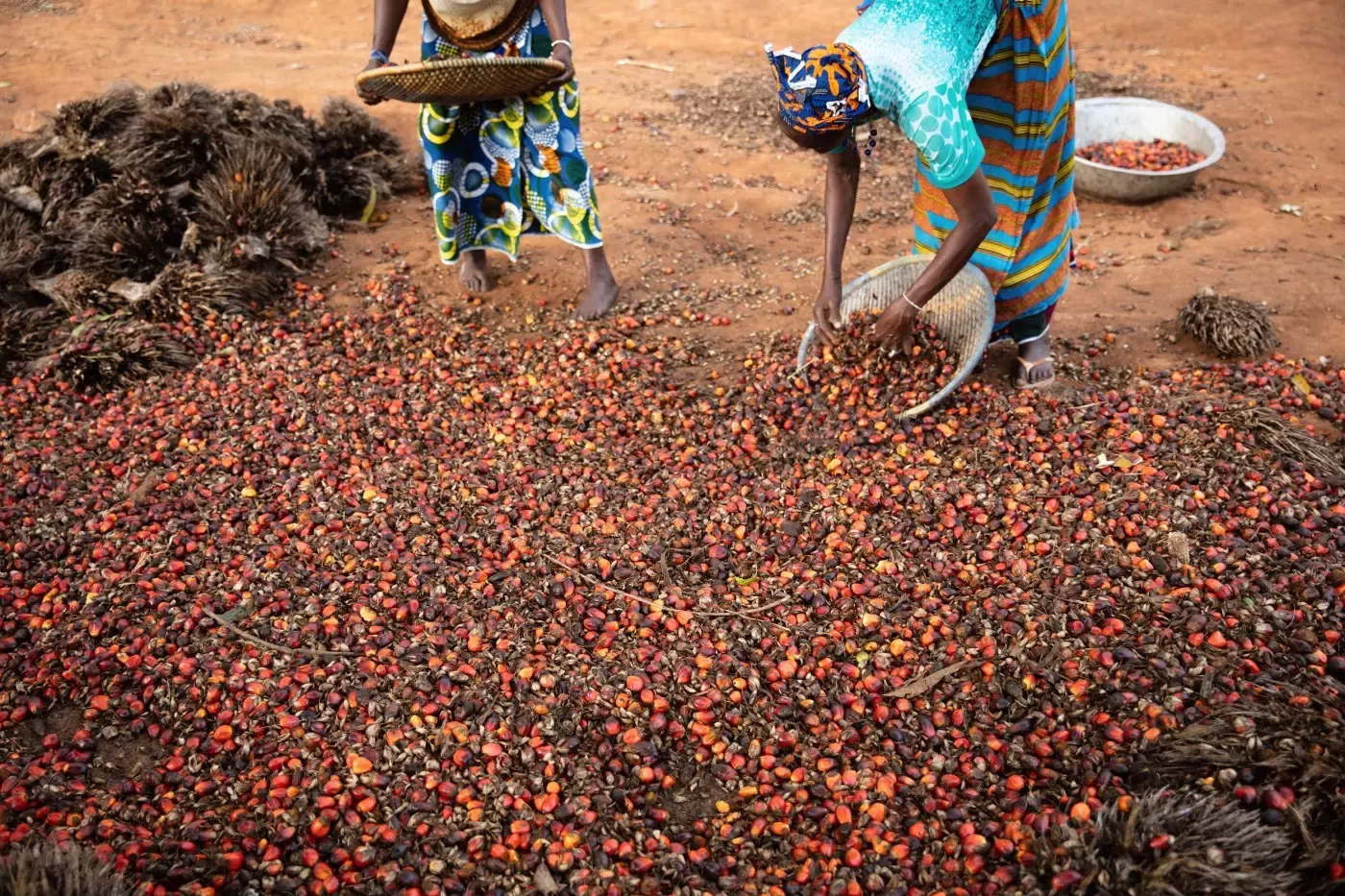 Communities_ResponsibleSourcing_CocoaPlan_2019_SourceImage_3864_18-09-2019_DIDOKO