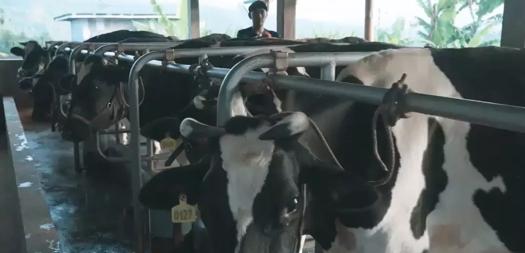 farmers