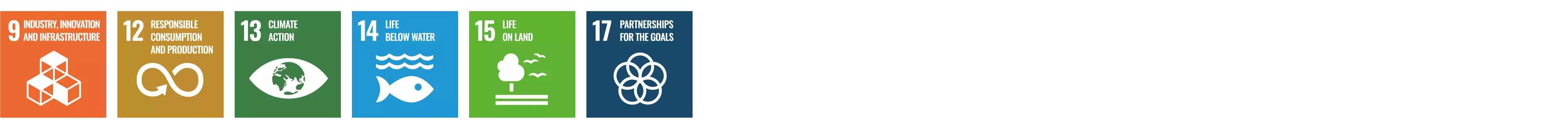 SDG 9, 12, 13, 14, 15, 17